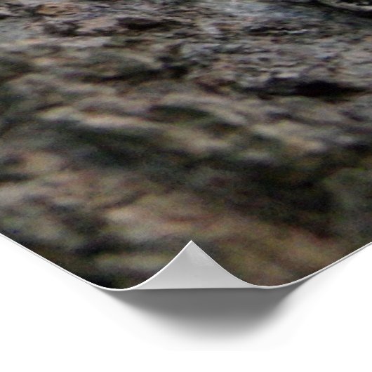 Bark op een boom poster (Hoek)