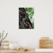 Bark op een boom poster (Keuken)