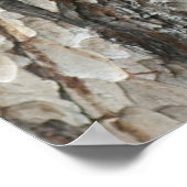 Bark Pine Wood Poster (Hoek)