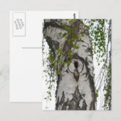 BARK TREE BRIEFKAART (Voorkant / Achterkant)