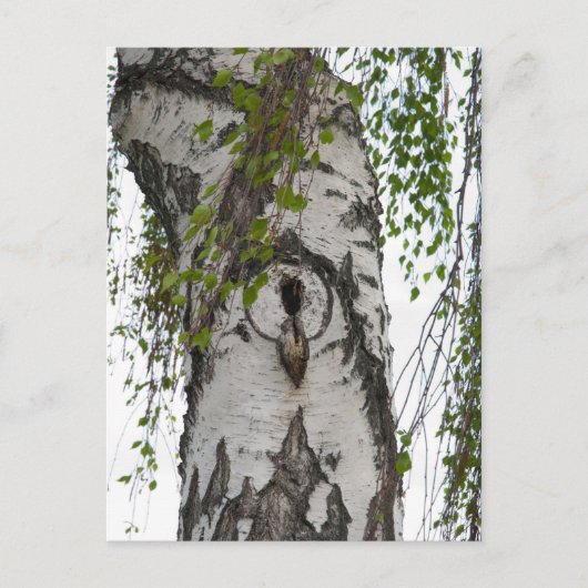 BARK TREE BRIEFKAART (Voorkant)
