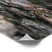 Bark van de boom poster (Hoek)