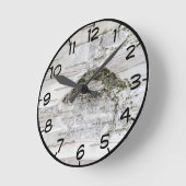 Bark van de vogelboom ronde klok (Hoek)