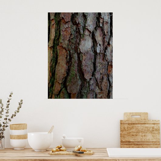 Bark van een Georgia Pine Poster (Keuken)