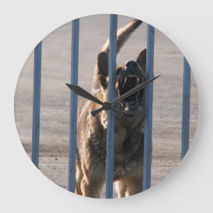 Barkeerhond Grote Klok