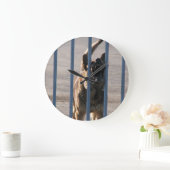 Barkeerhond Grote Klok (Huis)