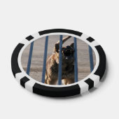 Barkeerhond Poker Chips (Enkel)