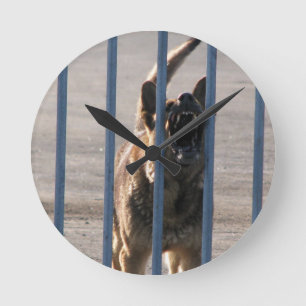 Barkeerhond Ronde Klok