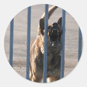 Barkeerhond Ronde Sticker