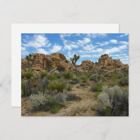 Barker Dam Loop Trail bij Joshua Tree National Par (Voorkant / Achterkant)