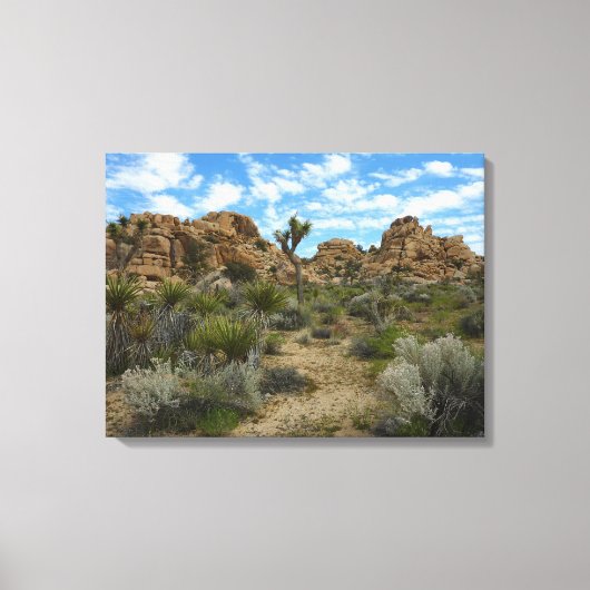 Barker Dam Loop Trail bij Joshua Tree National Par Canvas Afdruk (Voorkant)