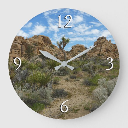 Barker Dam Loop Trail bij Joshua Tree National Par Grote Klok (Voorkant)