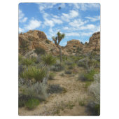 Barker Dam Loop Trail bij Joshua Tree National Par Klembord (Achterkant)