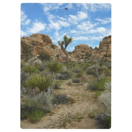 Barker Dam Loop Trail bij Joshua Tree National Par Klembord (Achterkant)