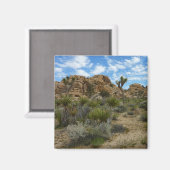 Barker Dam Loop Trail bij Joshua Tree National Par Magneet (Voorkant / Achterkant)