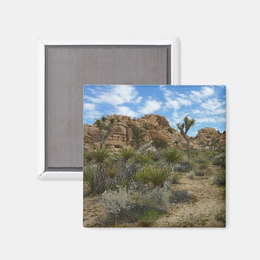 Barker Dam Loop Trail bij Joshua Tree National Par Magneet (Voorkant / Achterkant)