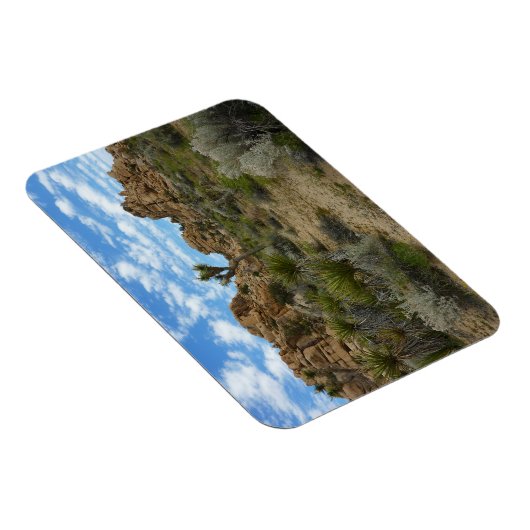 Barker Dam Loop Trail bij Joshua Tree National Par Magneet (Rechterzijde)