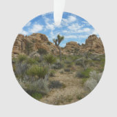 Barker Dam Loop Trail bij Joshua Tree National Par Ornament (voorkant)