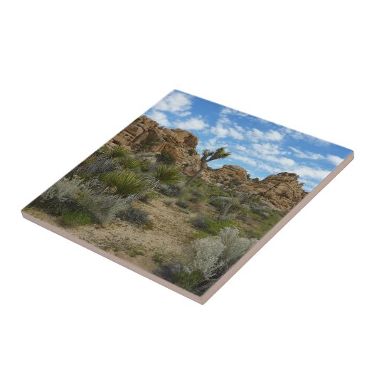 Barker Dam Loop Trail bij Joshua Tree National Par Tegeltje (Zijkant)