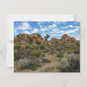 Barker Dam Loop Trail in het Joshua Tree National 