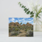 Barker Dam Loop Trail in het Joshua Tree National  (Staand voorkant)
