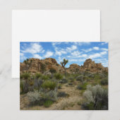 Barker Dam Loop Trail in het Joshua Tree National  (Voorkant / Achterkant)