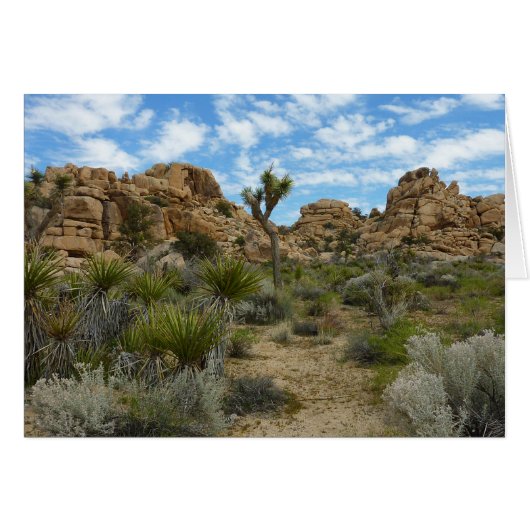 Barker Dam Loop Trail in het Joshua Tree National  (Voorkant Horizontaal)