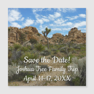 Barker Dam Loop Trail in het Joshua Tree National
