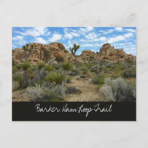 Barker Dam Loop Trail in het Joshua Tree National  Briefkaart