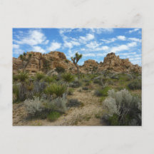 Barker Dam Loop Trail in het Joshua Tree National 