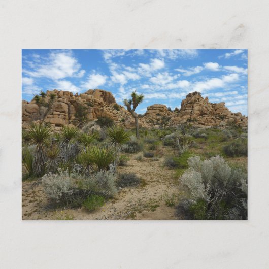 Barker Dam Loop Trail in het Joshua Tree National  Briefkaart (Voorkant)