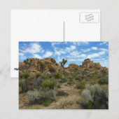 Barker Dam Loop Trail in het Joshua Tree National  Briefkaart (Voorkant / Achterkant)