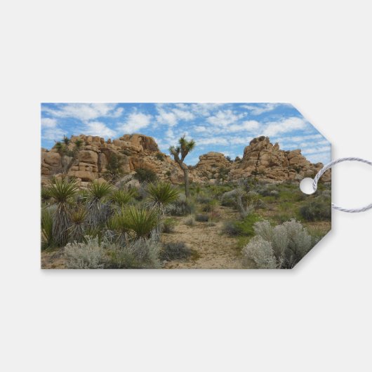 Barker Dam Loop Trail in het Joshua Tree National Cadeaulabel (Voorkant (Horizontaal))