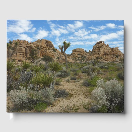 Barker Dam Loop Trail in het Joshua Tree National  Gastenboek (Voorkant)