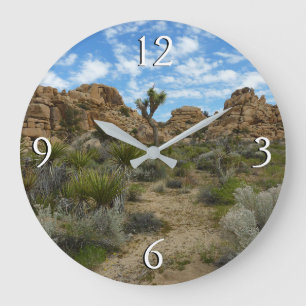 Barker Dam Loop Trail in het Joshua Tree National  Grote Klok
