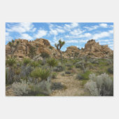 Barker Dam Loop Trail in het Joshua Tree National Inpakpapier Vel (Voorkant)