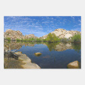 Barker Dam Loop Trail in het Joshua Tree National Inpakpapier Vel (Voorkant 3)