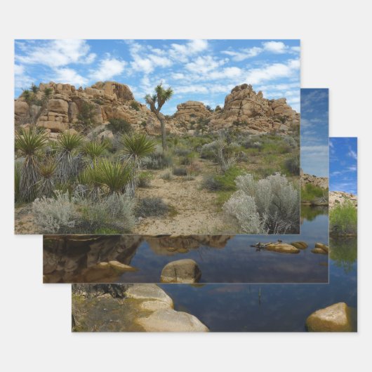 Barker Dam Loop Trail in het Joshua Tree National Inpakpapier Vel (Set)