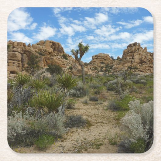 Barker Dam Loop Trail in het Joshua Tree National  Kartonnen Onderzetters (Voorkant)
