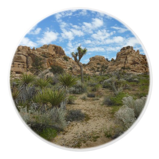 Barker Dam Loop Trail in het Joshua Tree National  Keramische Knop (Voorkant)