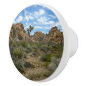 Barker Dam Loop Trail in het Joshua Tree National  Keramische Knop (Rechts)