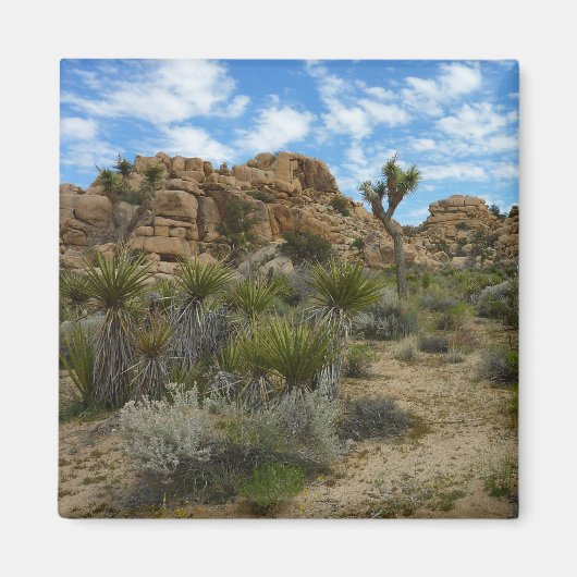 Barker Dam Loop Trail in het Joshua Tree National Magneet (Voorkant)