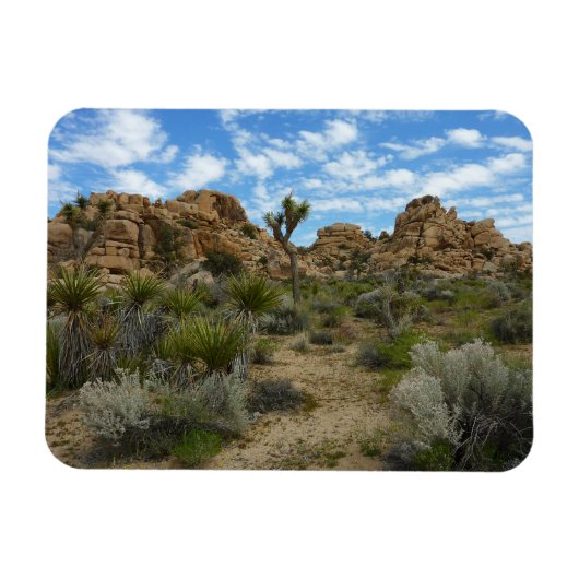 Barker Dam Loop Trail in het Joshua Tree National Magneet (Horizontaal)