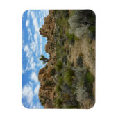 Barker Dam Loop Trail in het Joshua Tree National Magneet (Verticaal)