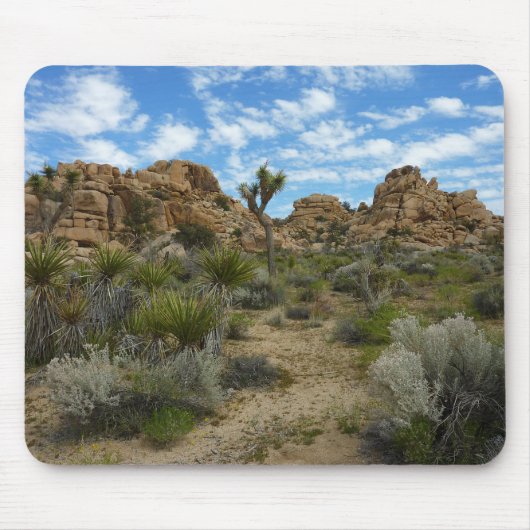 Barker Dam Loop Trail in het Joshua Tree National Muismat (Voorkant)