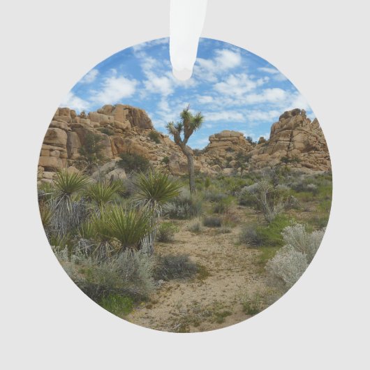 Barker Dam Loop Trail in het Joshua Tree National  Ornament (voorkant)