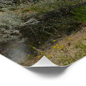 Barker Dam Loop Trail in het Joshua Tree National  Perfect Poster (Hoek)
