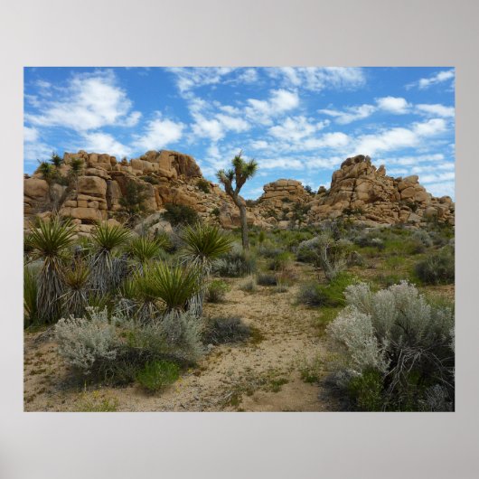 Barker Dam Loop Trail in het Joshua Tree National Poster (Voorkant)