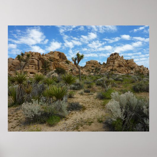 Barker Dam Loop Trail in het Joshua Tree National  Poster (Voorkant)