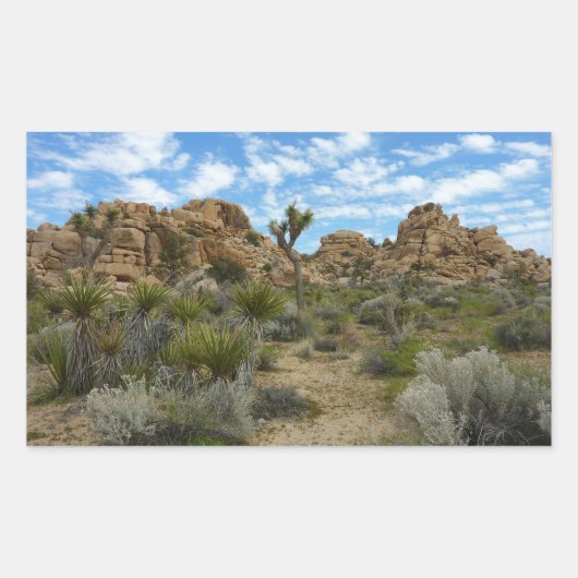 Barker Dam Loop Trail in het Joshua Tree National  Rechthoekige Sticker (Voorkant)